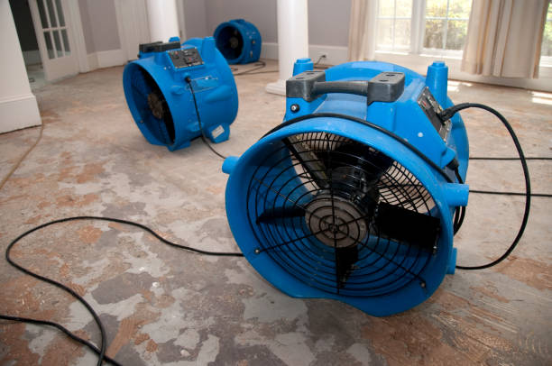 Best Water damage restoration near me  in Mascoutah, IL