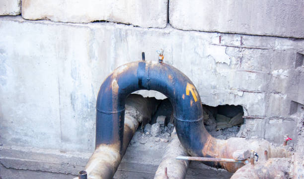 Best 24/7 water damage repair  in Mascoutah, IL