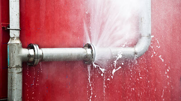 Best Water damage mitigation services  in Mascoutah, IL